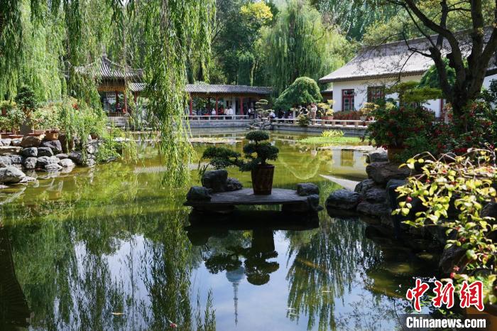 圖為西寧園林植物園秋日風景別有韻味。　馬銘言 攝