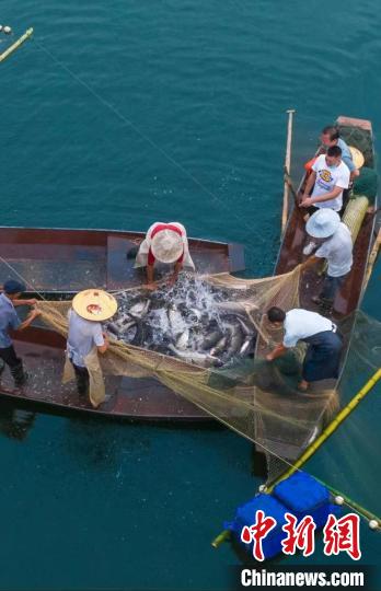 捕魚現(xiàn)場?！≈鬓k方供圖