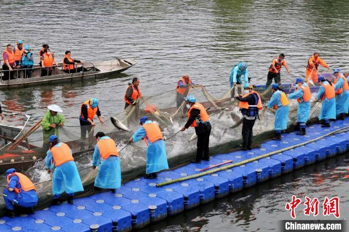 捕撈現(xiàn)場?！≈鬓k方供圖