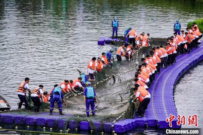 捕撈現(xiàn)場?！≈鬓k方供圖