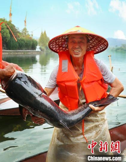 工作人員展示捕撈成果?！≈鬓k方供圖