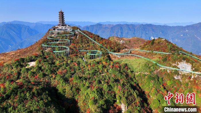 巴山大峽谷彩林迎來(lái)最佳觀賞期。　姚盛 攝