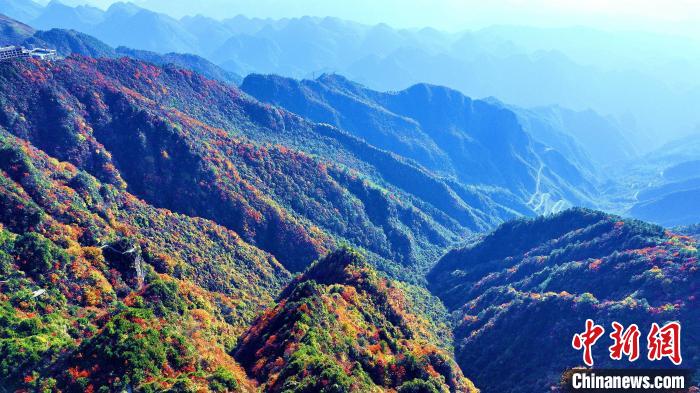 巴山大峽谷彩林迎來(lái)最佳觀賞期。　張平 攝