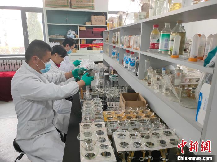 資料圖為研究團(tuán)隊(duì)進(jìn)行樣本檢查?！?青海省畜牧獸醫(yī)科學(xué)院供圖