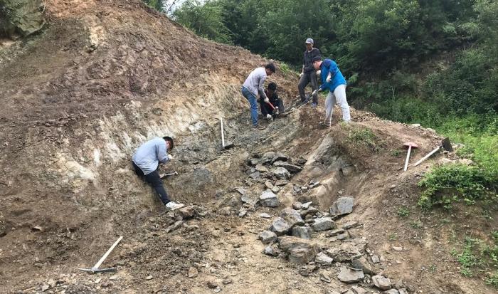 2018年玉海翼角魚野外發掘采集現場。　蓋志琨 攝