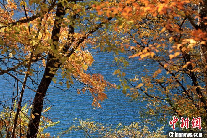 松坪溝風光。　劉通 攝