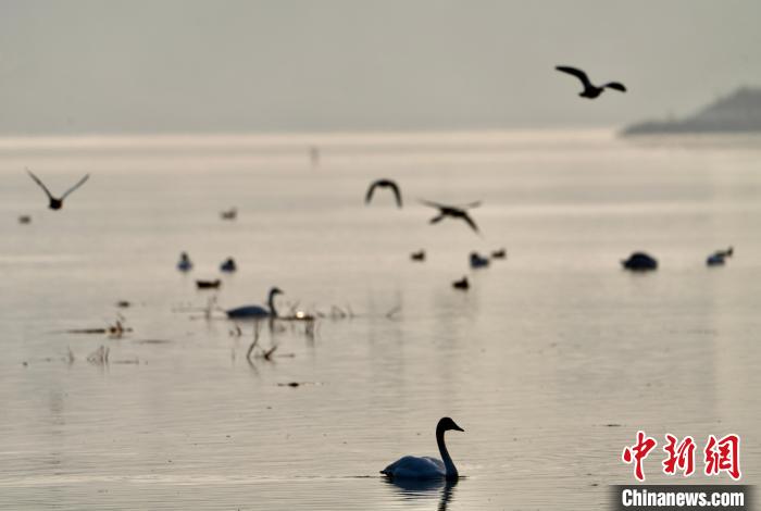 青海自然資源領域:構建具有青藏高原特色生態產品價值實現路徑