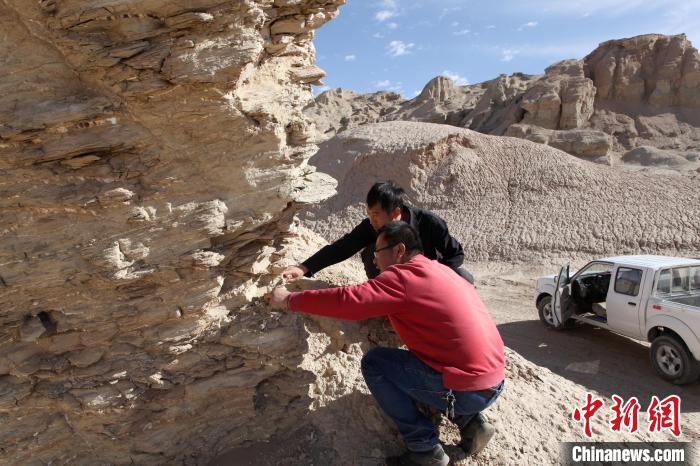 圖為地質專家觀察鹽類沉積地層。(資料圖) 柴綜院 供圖