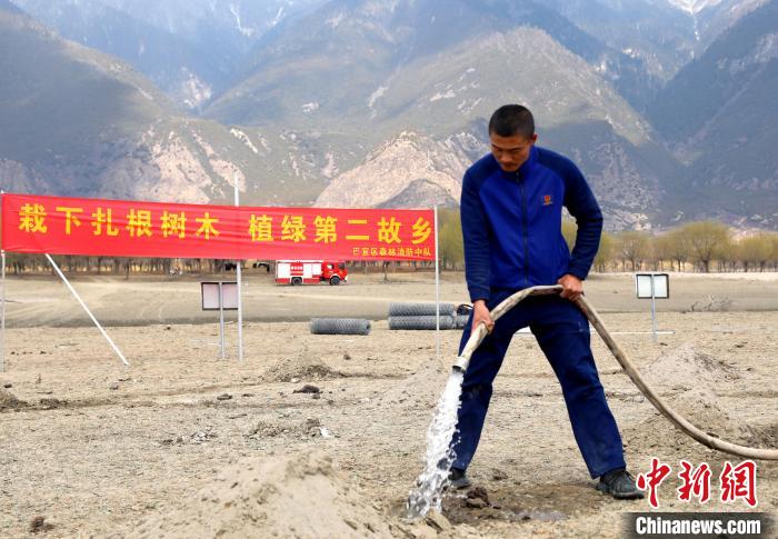 林芝市巴宜區(qū)森林消防中隊(duì)志愿服務(wù)隊(duì)澆水灌溉。　西繞拉翁 攝