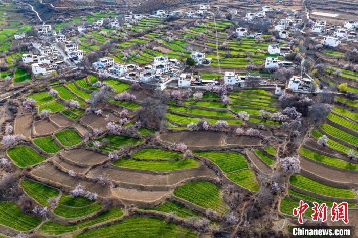 白松鎮桃花林中的白藏房。　劉忠俊 攝