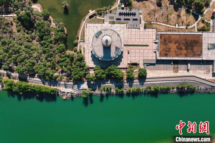 航拍青海貴德黃河岸畔綠意濃濃?！≮w凜松 攝