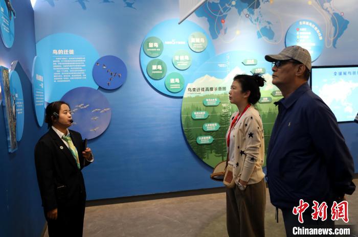 圖為臺商在祁連山國家公園生態科普館內聆聽講解。　薛蒂 攝