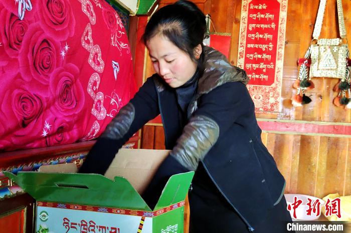 圖為通麥村村民巴桑拉姆把精心挑選的蘋果裝箱。　貢桑拉姆 攝