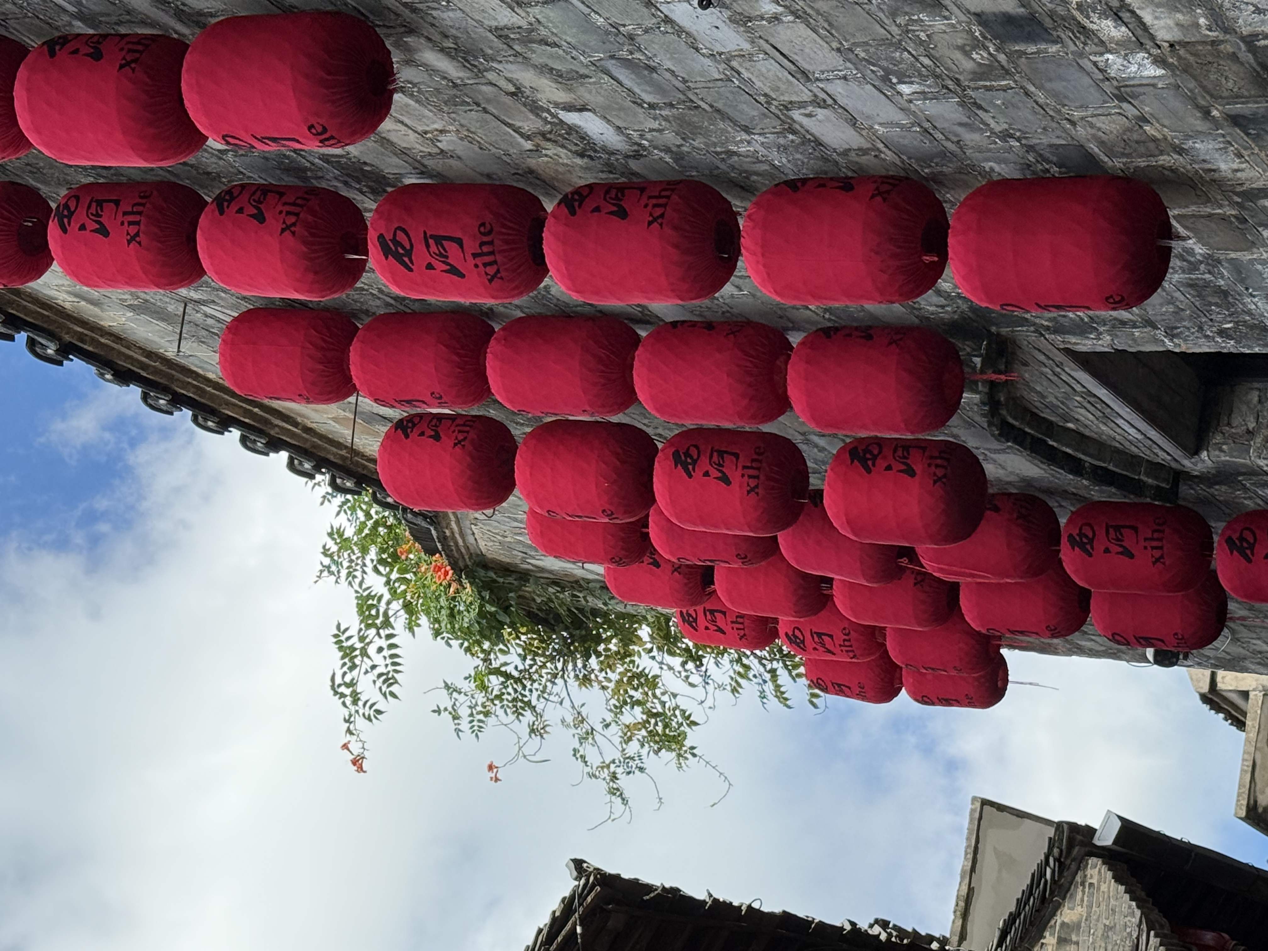 【2024打卡中國】外國網紅打卡蕪湖西河古鎮 品“江南水鄉”古韻長（組圖）