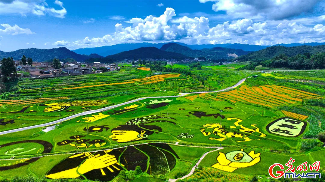 云南清水：延伸公共法律服務觸角，讓普法與民族團結進步互促共融