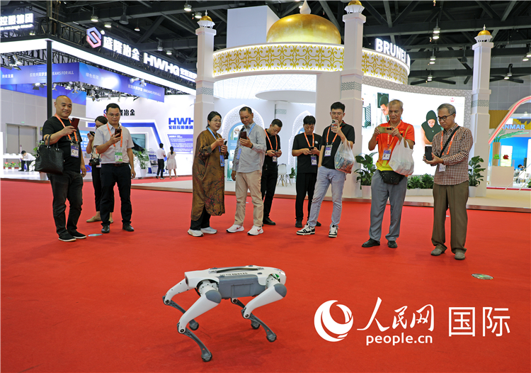 東博會上，觀眾正在參觀一只機器狗。綠色能源、新能源汽車、綠色農產品等成為本屆東博會觀眾關注的焦點。人民網記者 趙益普攝