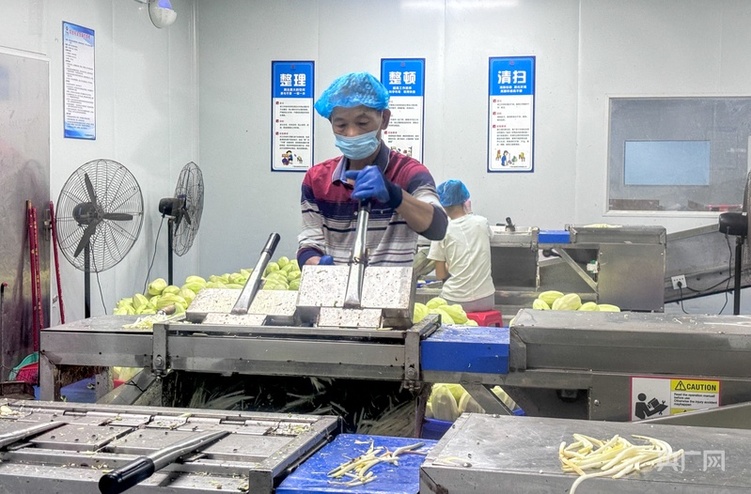 高質量發展看中國 | 廣西：三產融合“潤澤”鄉村沃土 讓農民腰包越來越鼓