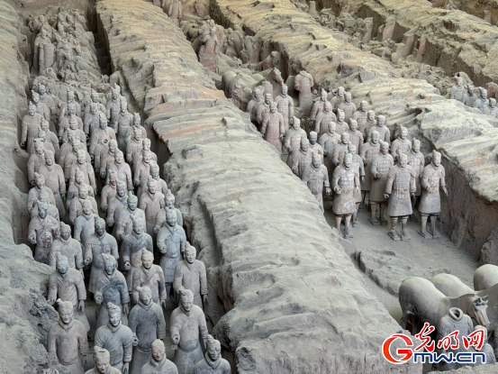 數智文遺陜西行｜千年秦俑，數智重生