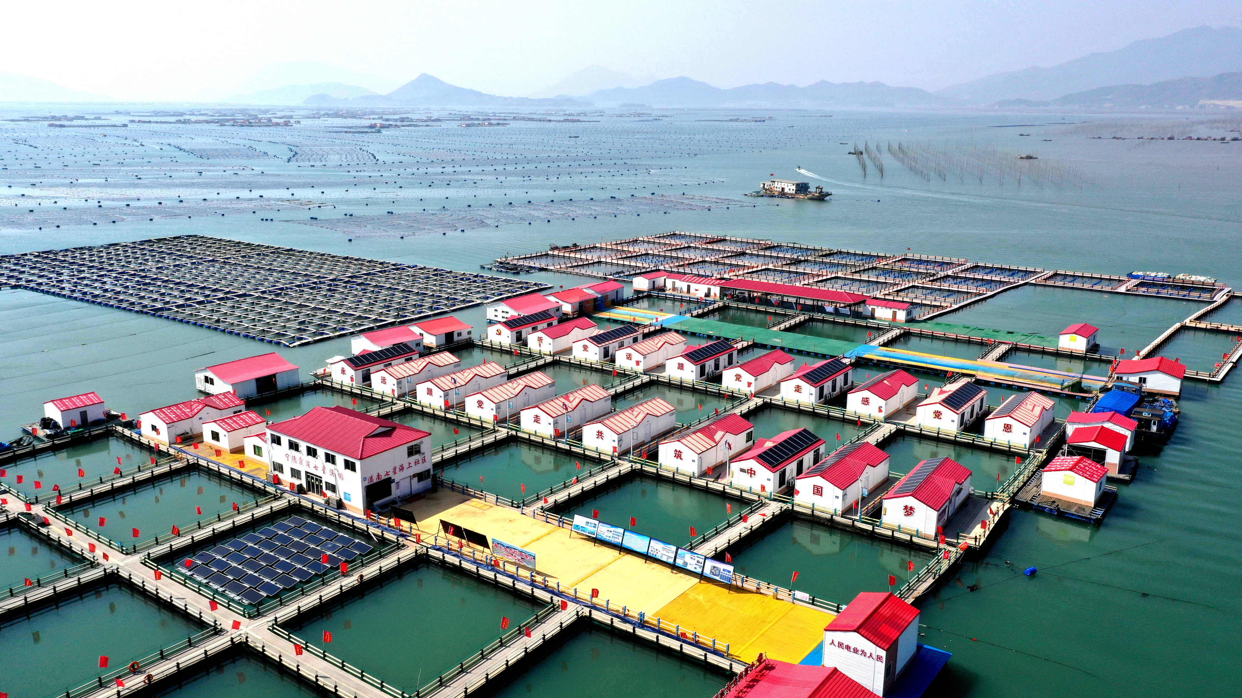 2024年3月20日,福建省寧德市,霞浦縣溪南鎮七星村漁排養殖示范區,漁民駕駛養殖船進行海參養殖作業。