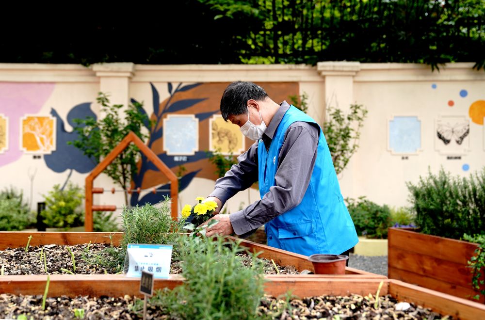 上海市長寧區虹旭小區居民在整理改造社區花園。居民們把堆肥箱里發酵出來的“綠色材料”和土壤拌在一起鋪在種植箱中(2020年4月22日攝)。新華社記者 張建松 攝
