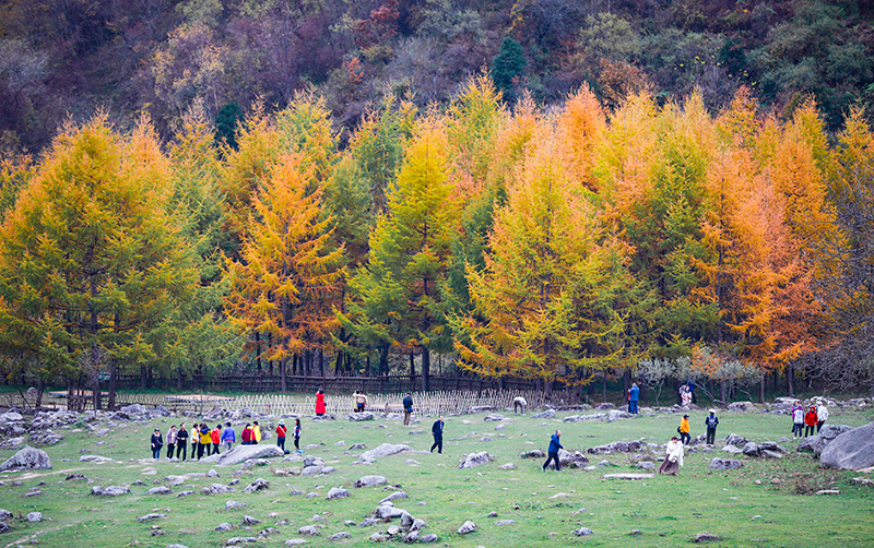 2023年10月27日,深秋時節的陜西秦嶺太子嶺漫山紅黃、色彩交織,進入最佳觀賞期。
