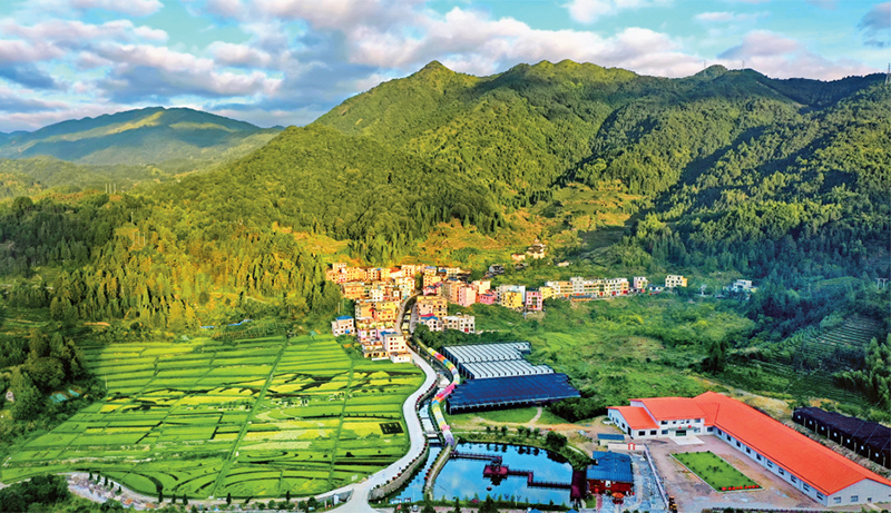 林茂田豐、天藍水清的“七彩”后洋村。 寧德市委宣傳部供圖 （2023年第24期《求是》雜志刊發）
