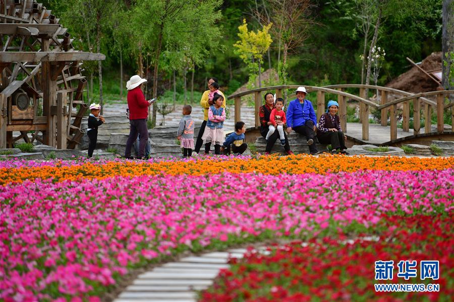 （脫貧攻堅）（1）甘南藏區：全域旅游打造鄉村振興“綠色引擎”