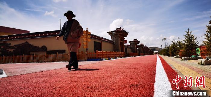 甘肅藏區打造精品“牧家樂”：從游牧生活到“庭院經濟”