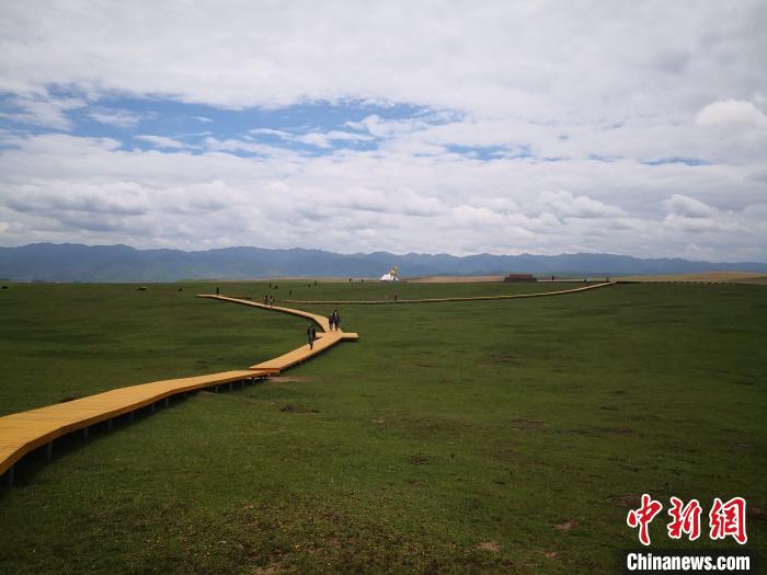 甘南“鐵律執法”護草原生態查處逾百家企業