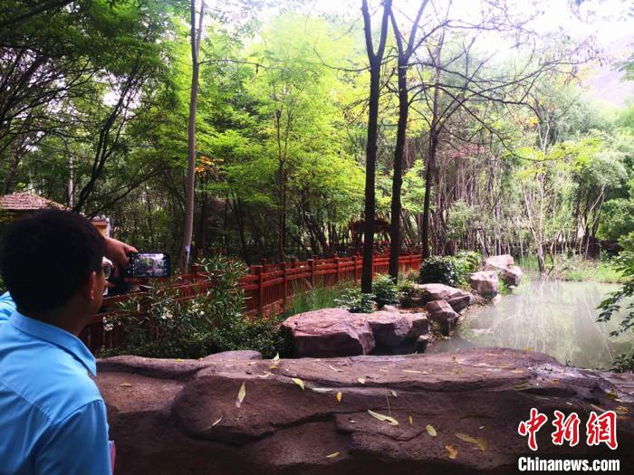 甘肅舟曲葡萄產業成景似“江南水鄉”興庭院經濟鋪致富路