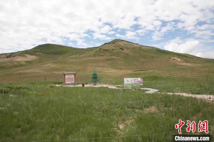 四川省阿壩州若爾蓋縣草原沙化治理后。若爾蓋縣林業和草原局供圖