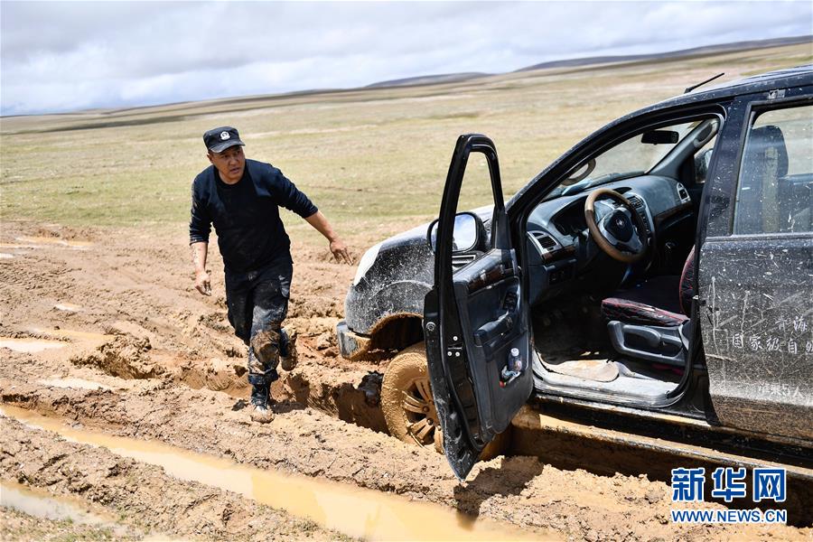 （圖文互動）（3）記者手記：可可西里，“挪”向“藏羚羊大產房”的14個半小時