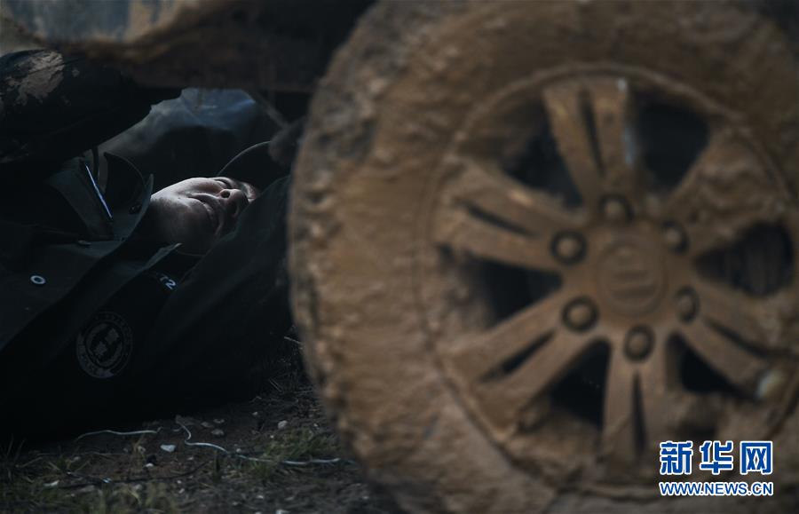 （圖文互動）（8）記者手記：可可西里，“挪”向“藏羚羊大產房”的14個半小時