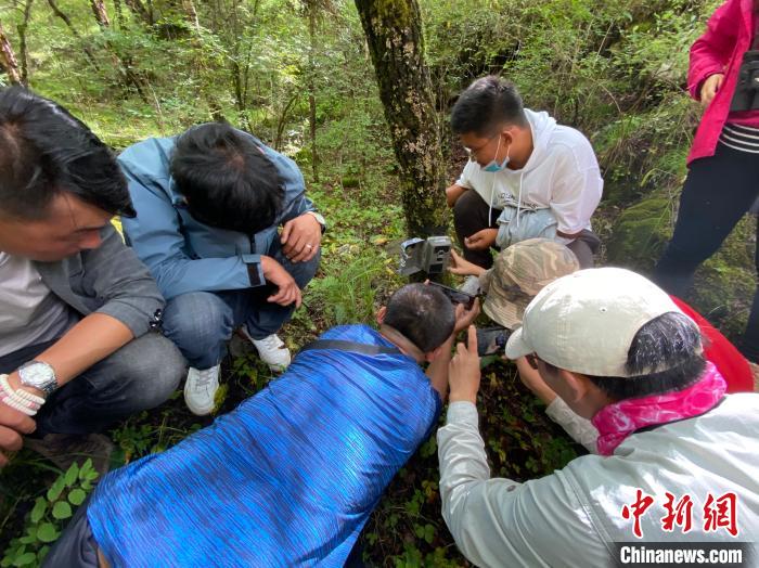 圖為訪客正在查看紅外相機(jī)中的拍攝畫(huà)面。　李江寧 攝