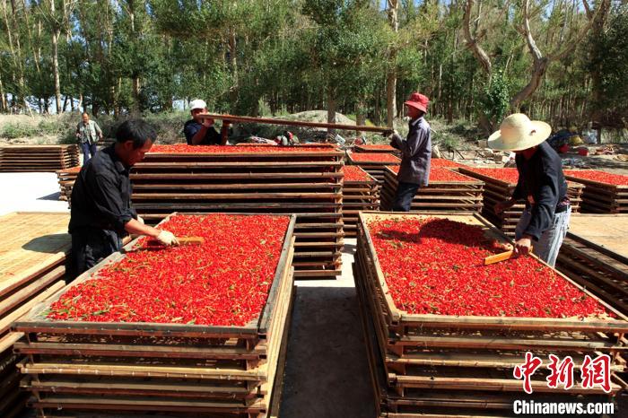 青海海西出臺新政促進柴達木特色產品電商發展