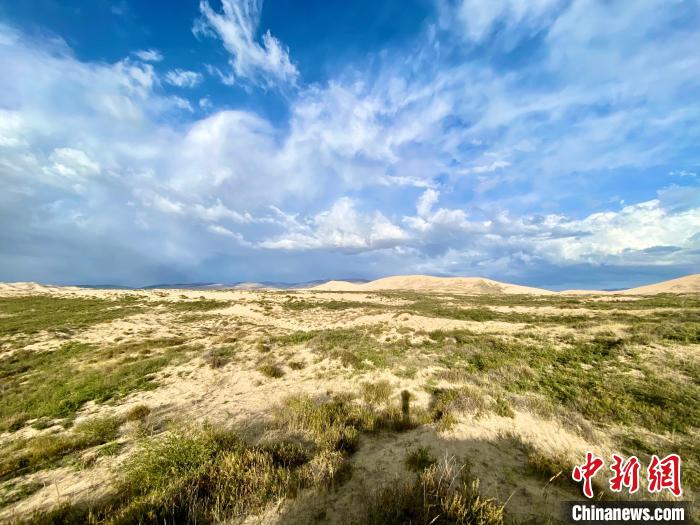 圖為關停四年后的沙島景區現狀?！±罱瓕?攝