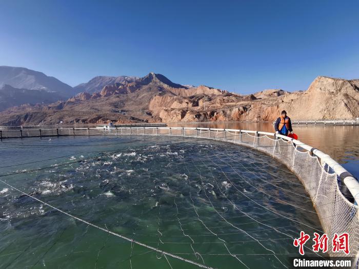 青海高原藏鄉：黃河“牧場”里的打漁郎