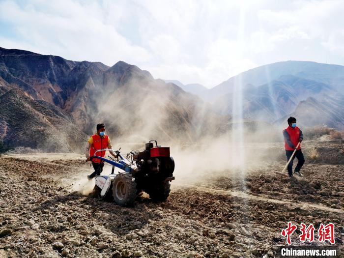 圖為拖拉機在山地犁地。　張添福 攝