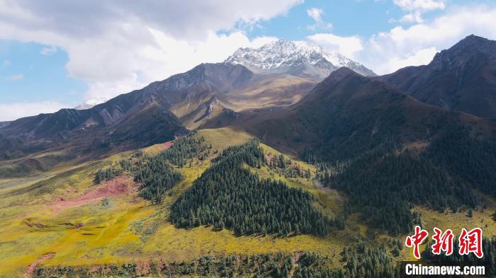 祁連山國家公園生態保護巡回檢察室成立：為國家公園提供司法保障