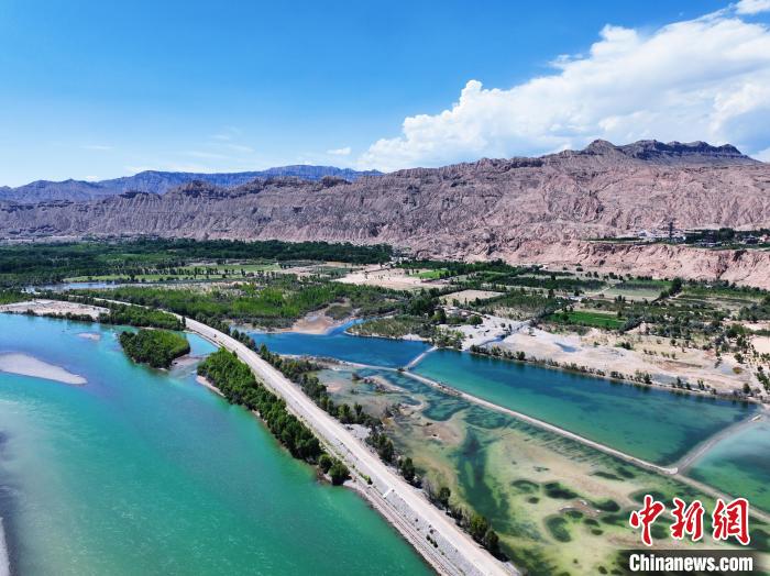 航拍貴德縣黃河岸畔綠意盎然。　馬銘言 攝