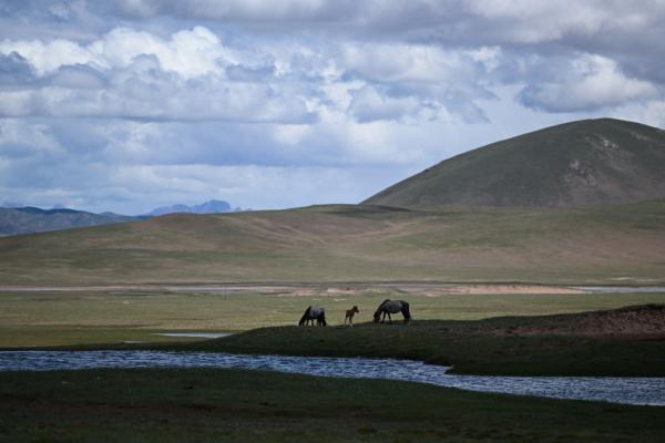 唐古拉山腳下，聽牧民講述長江源生活變遷