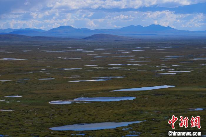 圖為查旦濕地。　馬銘言 攝