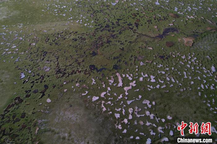 航拍查旦濕地。　馬銘言 攝