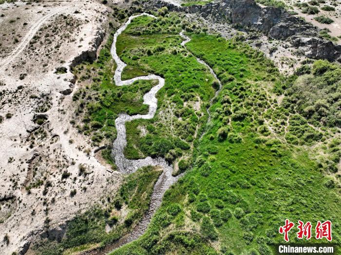 圖為航拍都蘭湖國家濕地公園綠意盎然。 祁增蓓 攝