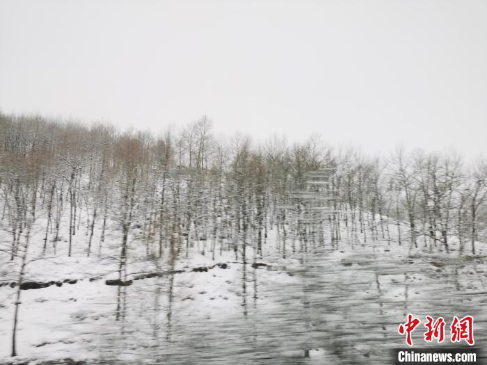 圖為青海青沙山區域被降雪覆蓋?！執砀?攝
