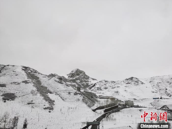 圖為青海省東南部的青沙山區域銀裝素裹。　張添福 攝