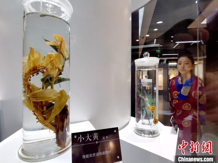 青海中藏醫藥發展提速：建設一批重點專科學科，推廣一批適宜技術