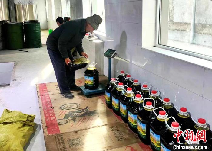 圖為高原油菜籽榨出的菜籽油?！埖么?攝