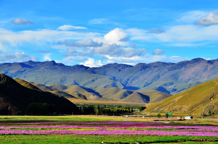 稻城風光。稻城縣委宣傳部供圖