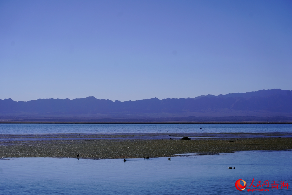 安靜的可魯克湖。人民網 陳明菊攝